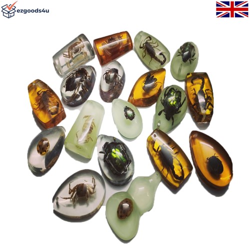 Pcs insect amber - insect,