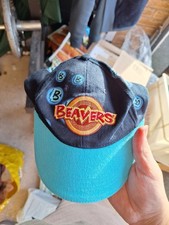 official Beaver Scouts kids