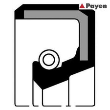 Shaft Seal, crankshaft PAYEN