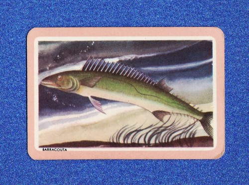 Vintage swap playing - swap,