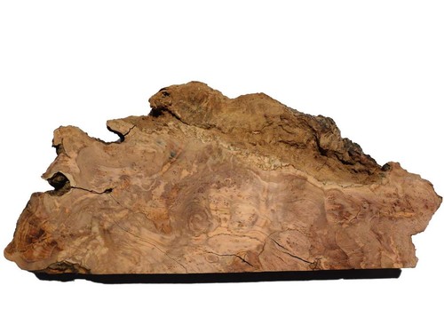 Olive burl wood - 1x,
