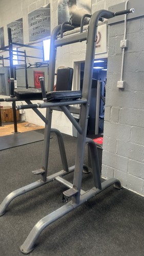 Commercial vertical knee raise - vertical,