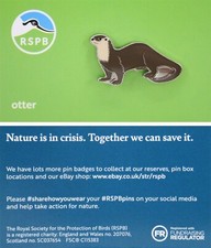 RSPB Pin Badge NIIC Otter