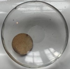 Verge pocket watch glass - verge,