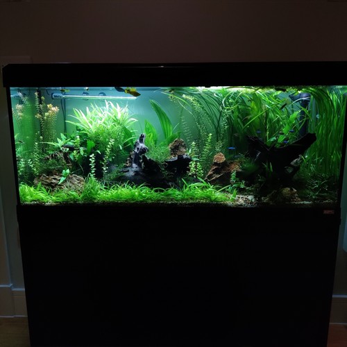 Fluval roma 240l bluetooth led - bluetooth,