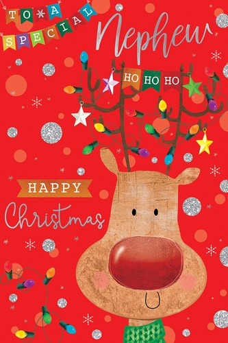 Special nephew christmas card - special,