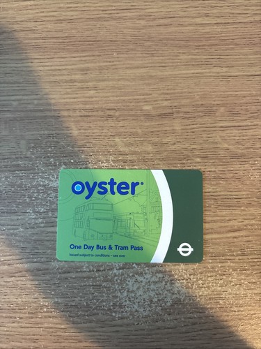 Rare oyster one day - rare,