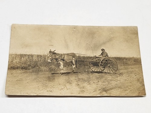 Rppc man carriage drawn - man,