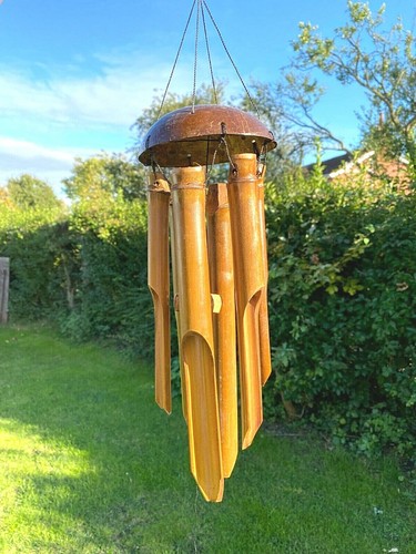 Stunning bamboo medium - stunning,