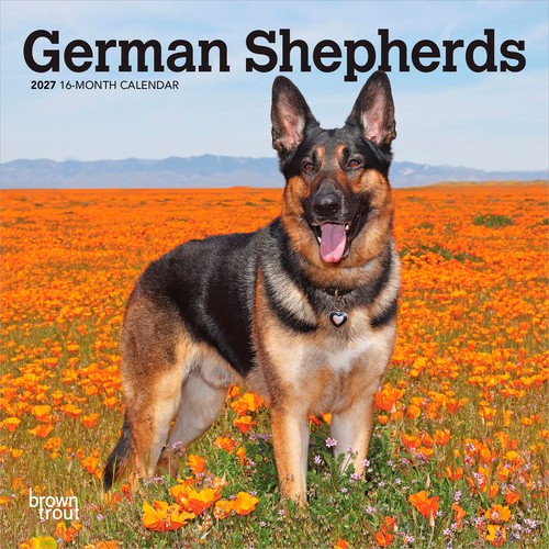German shepherds 2027 - shepherds,