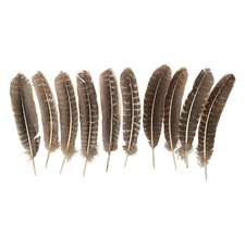 Turkey Feather, Natural, 9-11