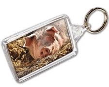 Pig Keyring Photo Keychain -