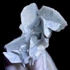 110G Special Natural Beautiful