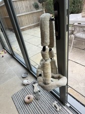 head collars for horses