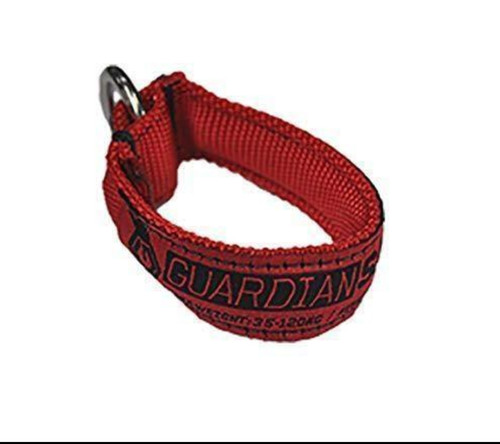 Slingshot guardian safety - slingshot,