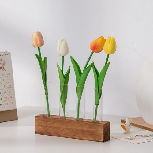 Hydroponic plant display set - hydroponic,