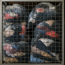 Job Lot Women's Clothes Grade A Clothing Bulk Buy High Street Reseller