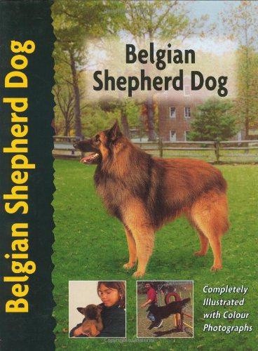 Belgian shepherd - belgian,