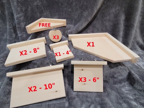 Chinchilla ledge shelves - ledge,