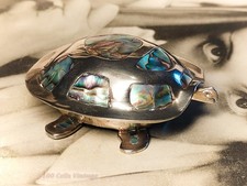 Abalone Turtle/tortoise Mexico