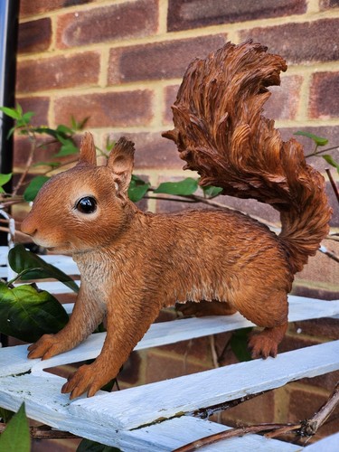 Ultra realistic squirrel - ultra,