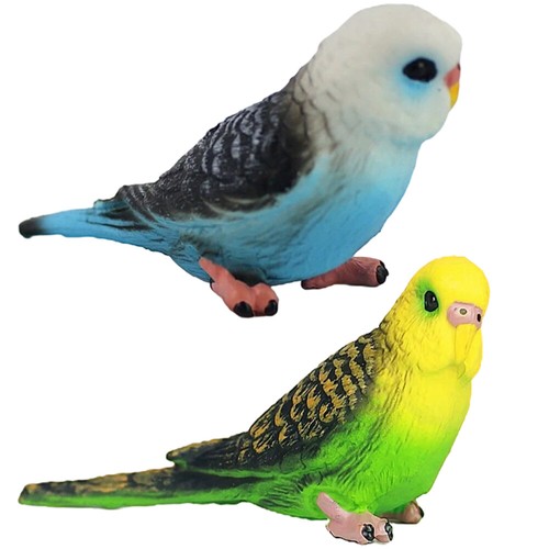 Pcs realistic budgie - 2,