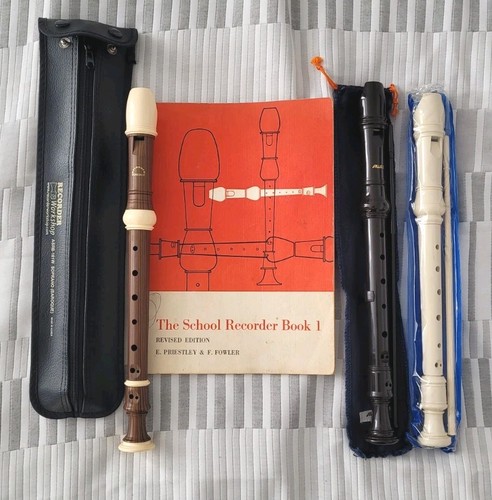 Vintage recorders with cases - *vintage*,