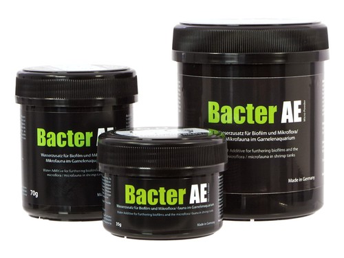Glasgarten bacter micro - glasgarten,