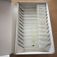 12 PREPARED MICROSCOPE SLIDES BOXED