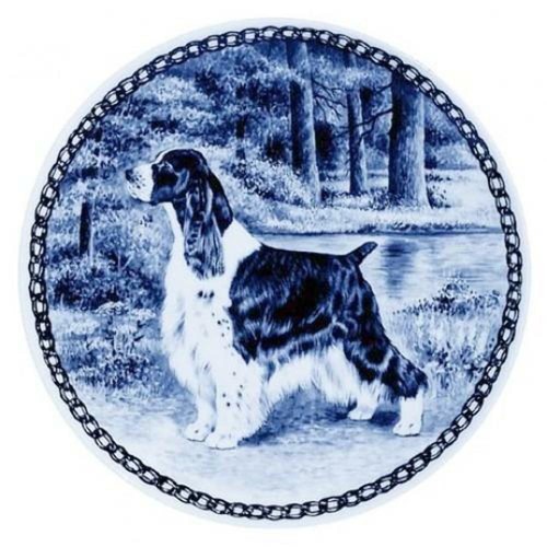 English springer spaniel dog - -,
