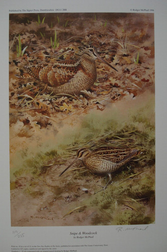 Rodger mcphail pencil signed - rodger,