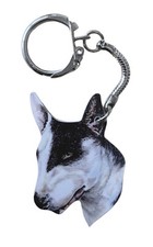 English bull terrier - english,