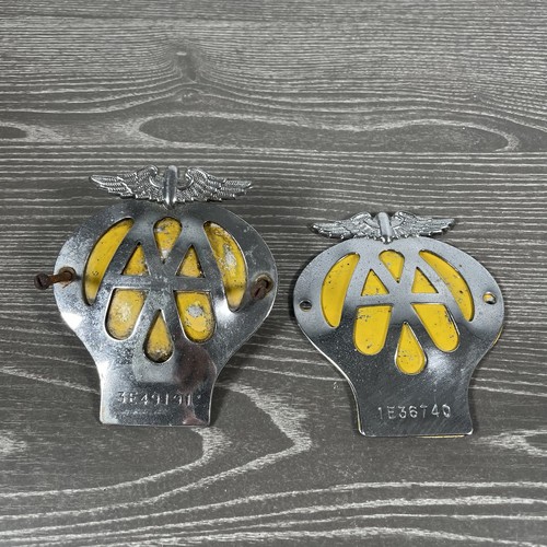 Car grille badge winged - badge,