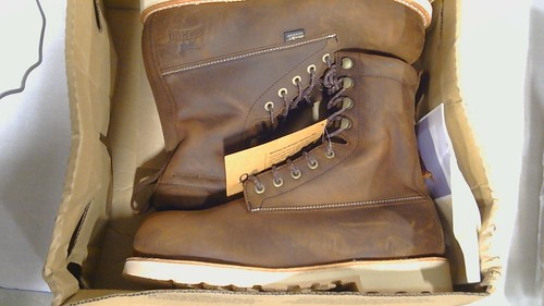 Irish setter 83858d - setter, 090.