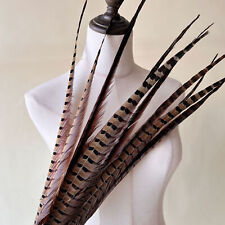 5pcs Pheasant Tail Feathers Fashion Accessories for Millinery Hats Wedding Party