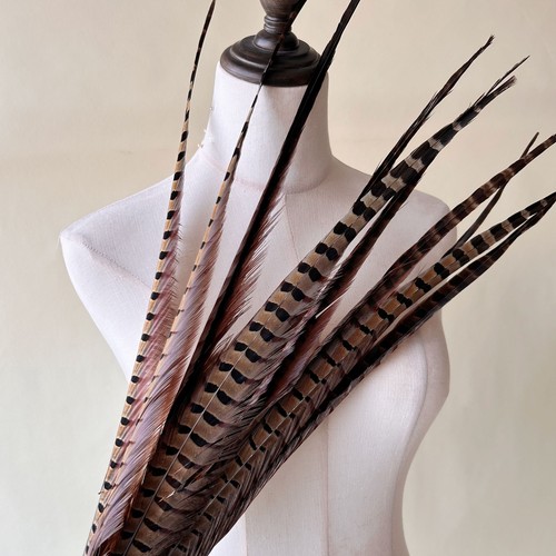 5pcs pheasant tail - pheasant,