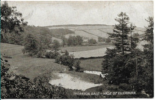Superb old postcard - -, of