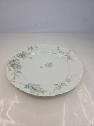 Antq haviland co - antq, &
