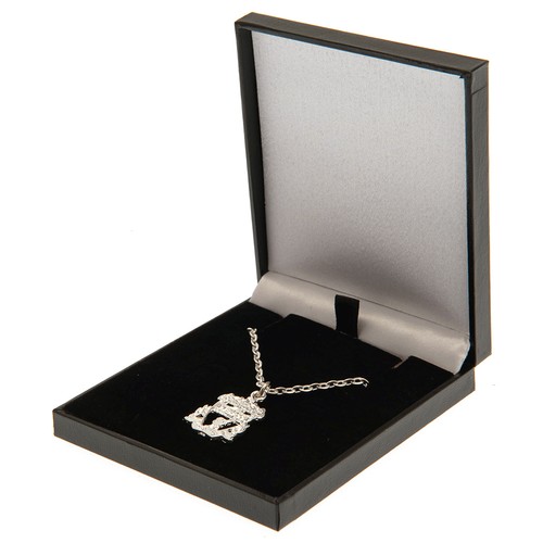 Liverpool silver plated - fc,
