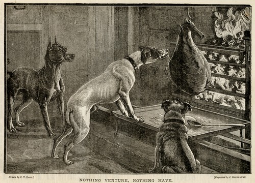 Manchester terrier smooth fox - terrier,