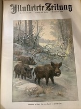 1904   COMPLETE GERMAN