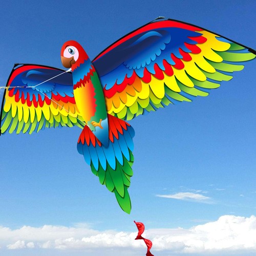 Large kite for - large,