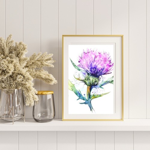 Scottish thistle flower - flower, head