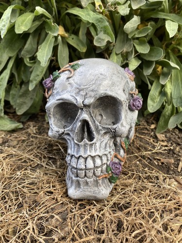 Skull garden ornament - skull,