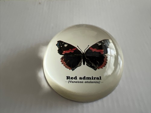 Red admiral butterfly - red, glass