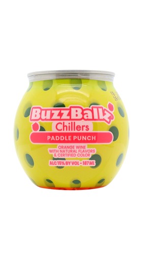Buzzballz pickleball paddle - pickleball,