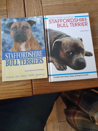 Staffordshire bull terrier - staffordshire,