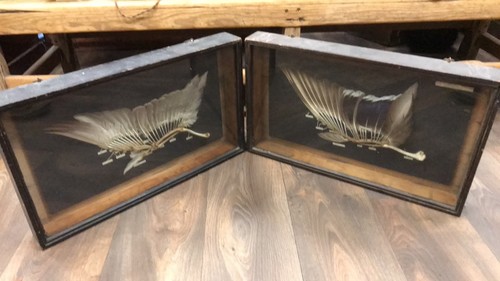 Two antique mallard - two,