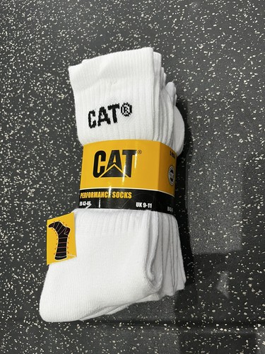 Cat work socks - cat,