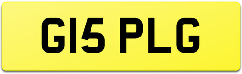 G15 plg digit private - plg,